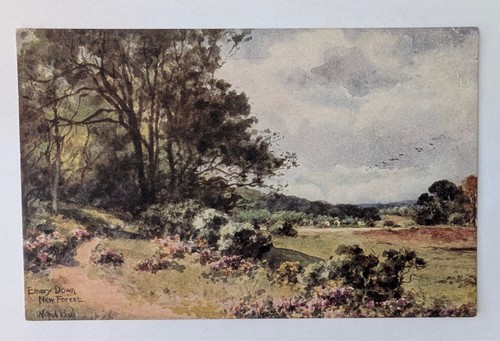 Emery down new forest - emery,