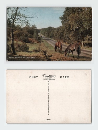 Vintage postcard bournemouth - vintage,