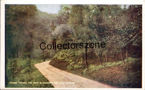 Loch katrine forest path - forest,