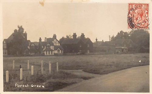 England forest green - england,