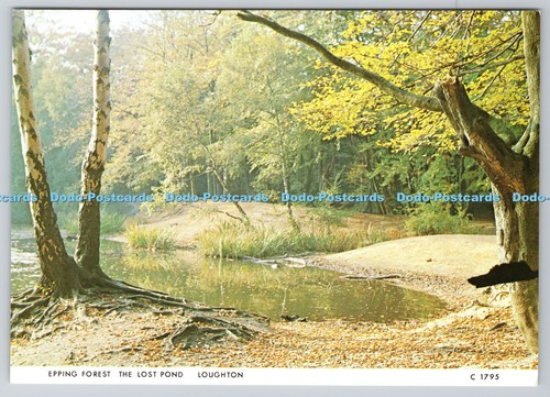 D327933 epping forest the - epping,