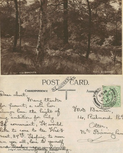 Vintage postcard birch and - postcard,