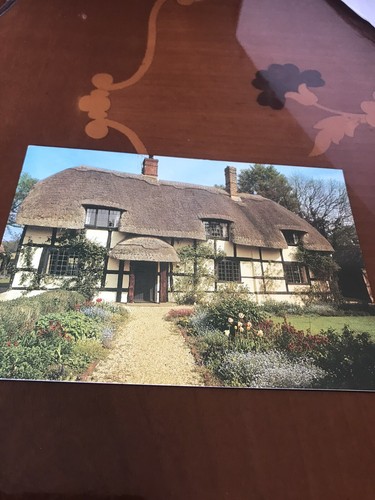 New forest cottage - new, forest.