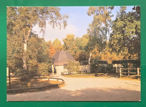 Vintage postcard unused - vintage,