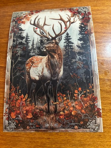 Forest animal themed postcard - forest,