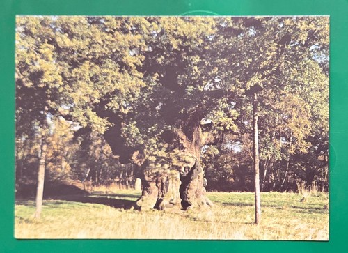Vintage postcard unused major - postcard,