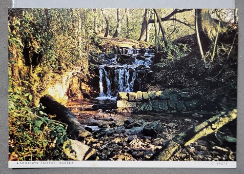 Vintage postcard unused stream - postcard,
