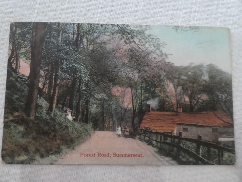 1906 summerseat forest - 1906,