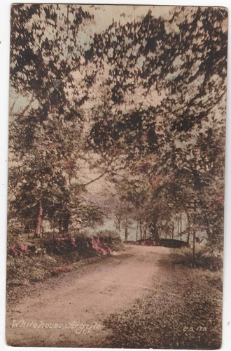 Woodland road whitehouse - road,,