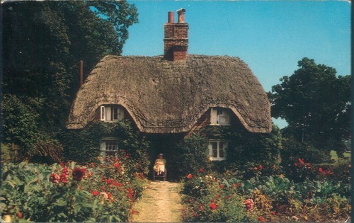 New forest cottage - new,