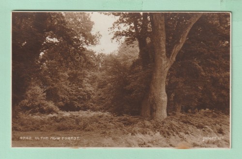 Hampshire postcard in the - hampshire,