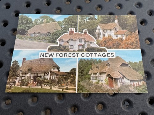 Vintage new forest - new,
