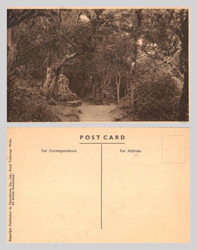 Vintage postcard woodland - -,