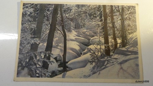 Vintage swiss winter postcard - swiss,
