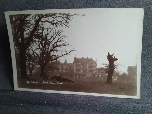 Chingford royal forest - royal,