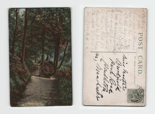 Postcard the woods colwyn - postcard,