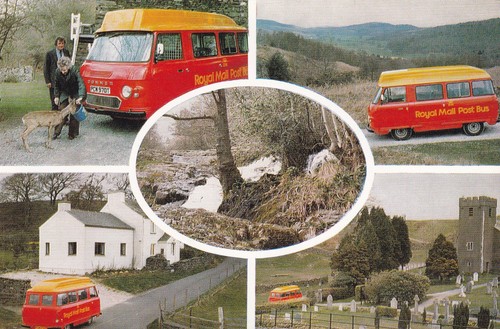Grizedale forest royal - grizedale,