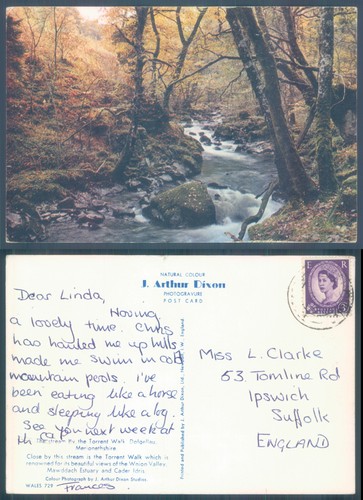 1945 postcard woodland - woodland, stream