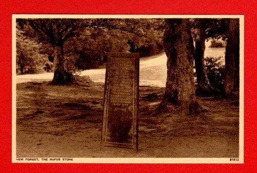 041533 postcard new forest - ,