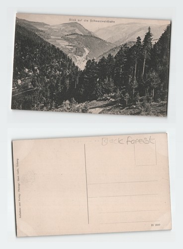 Vintage postcard black forest - postcard,