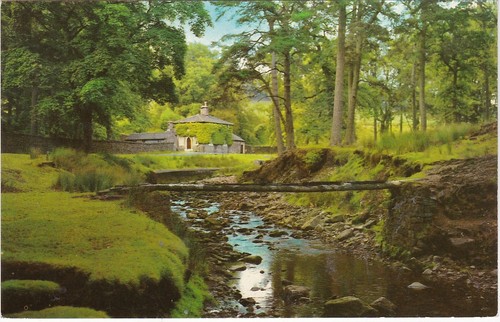 Forest scene house - forest, house,