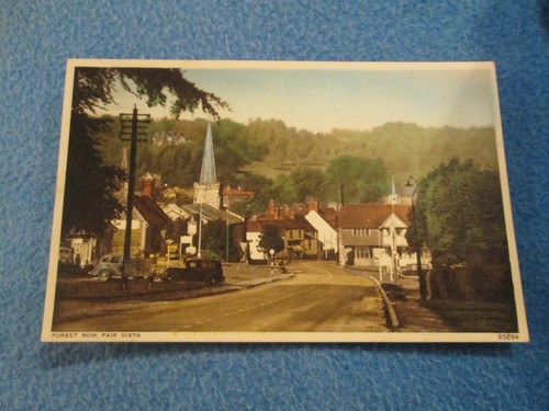 Early postcard forest row - early,