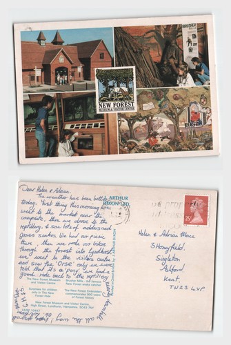 Vintage postcard new forest - vintage,
