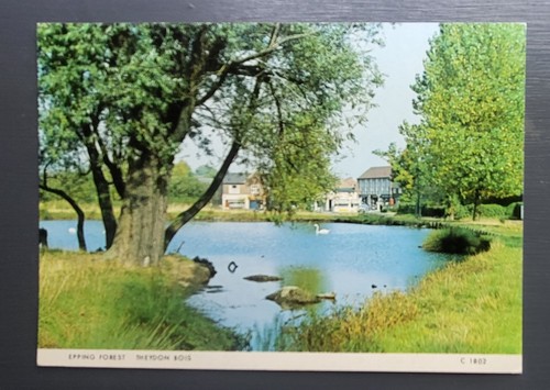Vintage postcard unused - vintage,
