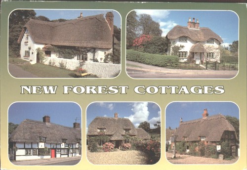 New forest cottages hampshire - forest, cottages,