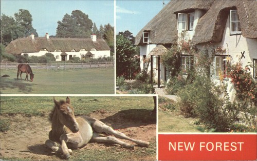 New forest thatched cottages - new,