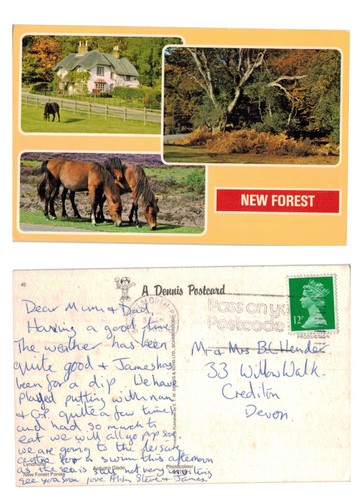 Postcard new forest ponies - postcard,