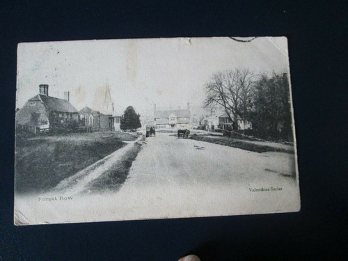 Postcard forest row 1904 - row,