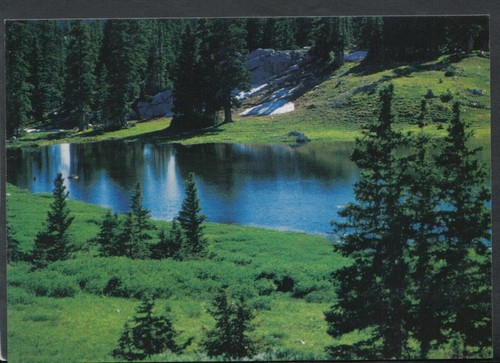 Nature postcard woodland - nature,