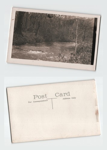 Vintage postcard woodland - postcard,