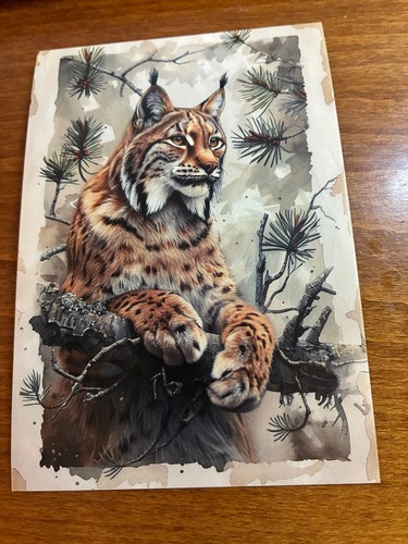 Forest animal themed postcard - forest,