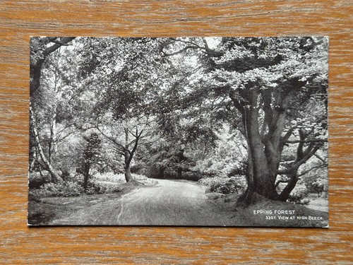 Vintage epping forest high - forest,