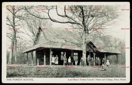 Forest school alton - forest, hants