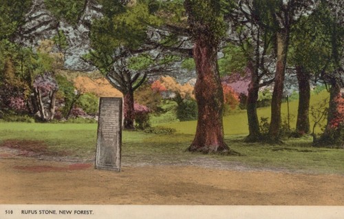 Hampshire postcard rufus - hampshire,