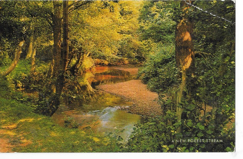 Postcard new forest stream - new,