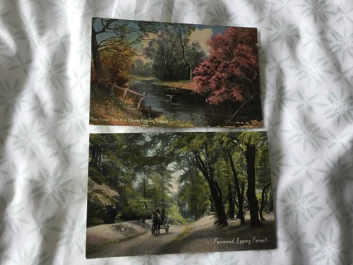 Epping forest fairmead - forest,, fairmead,