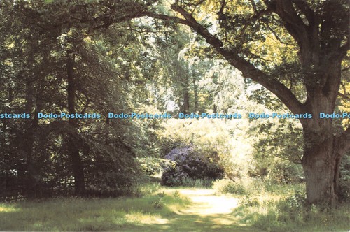 D088209 woodland welcome - woodland,