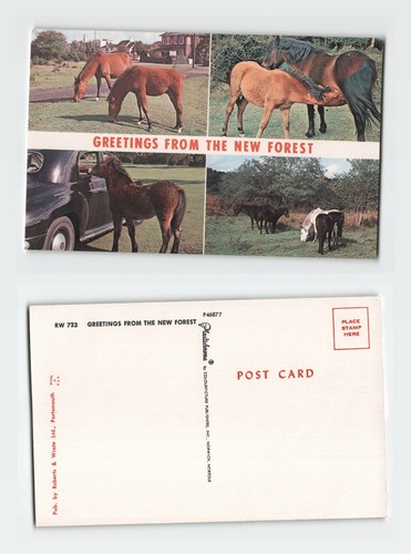 Vintage postcard greetings - vintage,