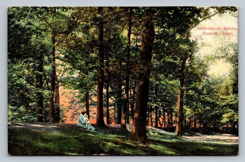 Postcard essex epping - -,