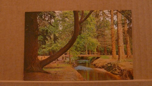 Postcard unposted hampshire - postcard,